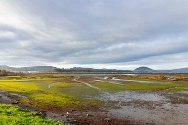 Günbatımında manzara İspanya 'daki Laredo nehrinde