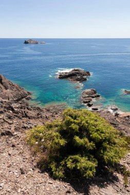 İspanya 'nın kuzeyindeki Creus' un kıyıları Akdeniz 'de Girona' daki kadavralar yakınlarında.