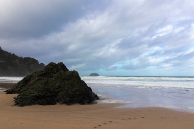 Urdaibai Biyosfer 'deki laga plajı. Vezaya' da bulutlu bir gün.