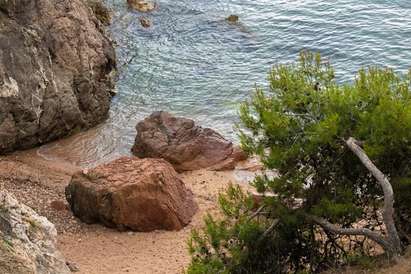Felsige Küste Norden Spaniens Einem Klaren Sommertag — Stockfoto