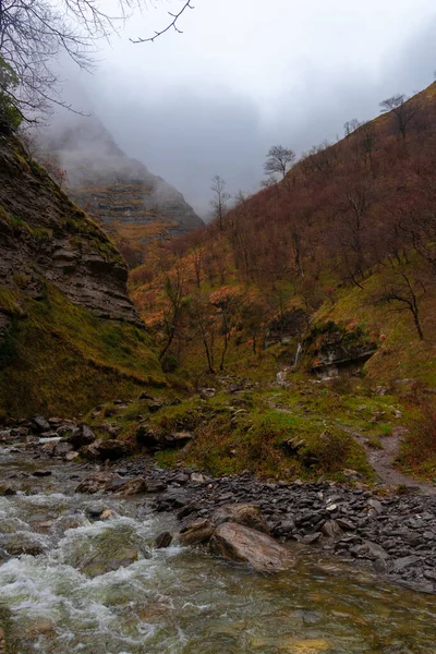 Kaňon Malé Řeky Provincii Vizcaya Severním Španělsku Oblačného Dne — Stock fotografie