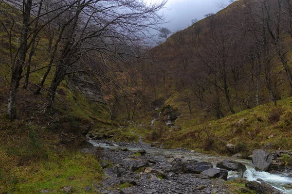 Kaňon Malé Řeky Provincii Vizcaya Severním Španělsku Oblačného Dne — Stock fotografie