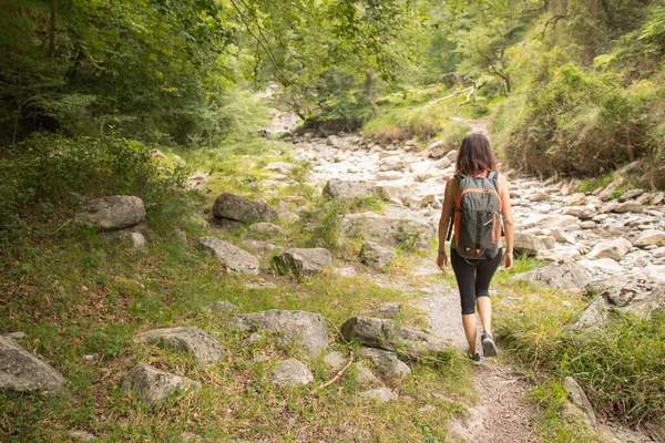 背中にリュックを背負ったまま山を歩く女 — ストック写真