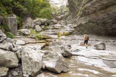 Kadın V vilayetindeki sinirlerin kaynağına doğru ilerliyor.