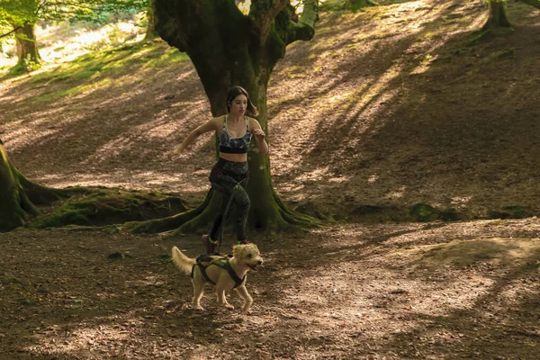 Jonge Vrouw Rennen Door Het Bos Met Een Hond Een — Stockfoto