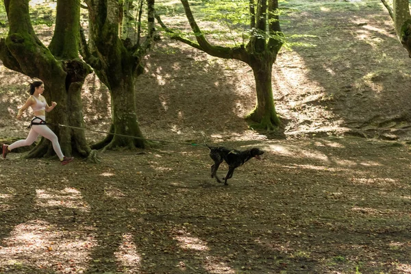Young Woman Running Woods Dog Canicross Training — Stock Photo, Image