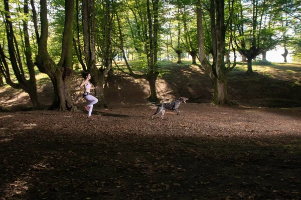 Mujer Joven Corriendo Por Bosque Con Perro Entrenamiento Canicross — Foto de Stock