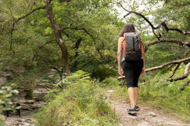 Ormanda arkasını dönerek yürüyen bir kadın. 