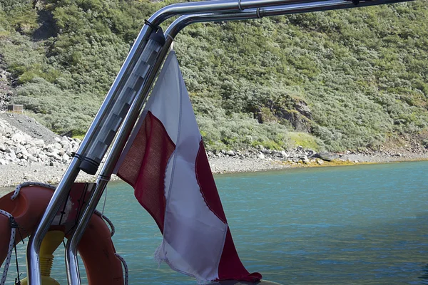 De vlag — Stockfoto