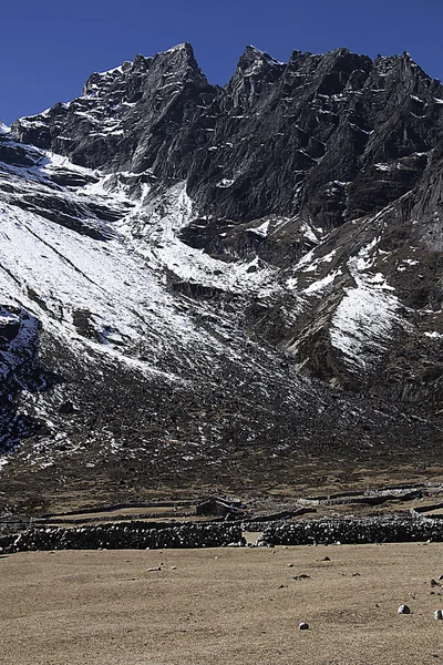 The mountains — Stock Photo, Image