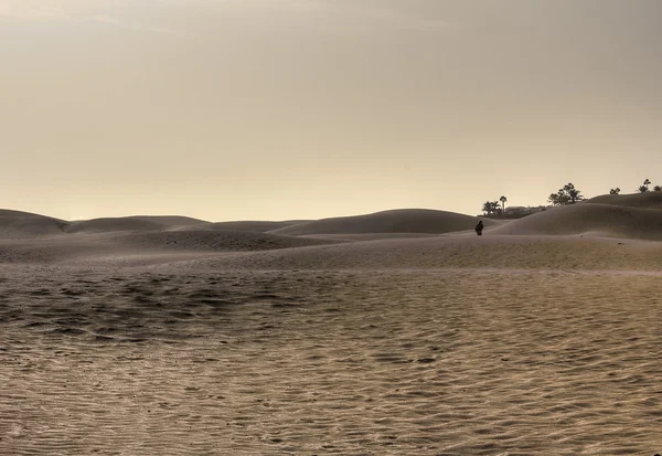 The dune — Stock Photo, Image