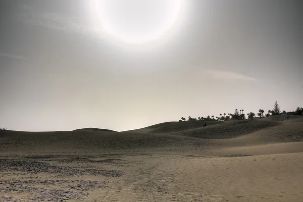 На Dune — стокове фото