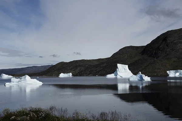 Fjord — Stockfoto