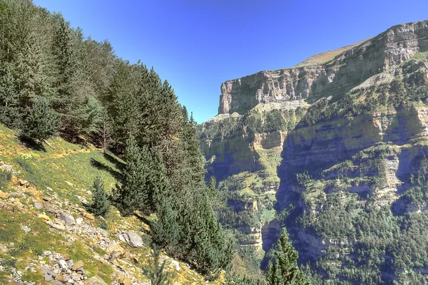 Pyrenees — Stock Photo, Image