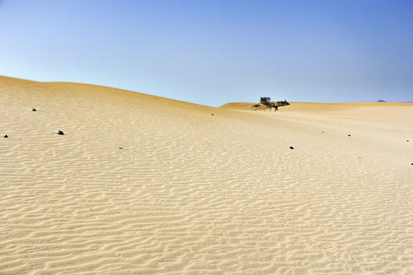 Dune-serien — Stockfoto