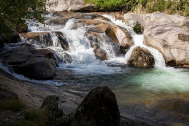 Vahşi yuste nehir suyu, doğal ortamda pürüzsüz granit kayaların üzerinden hızla akıyor.
