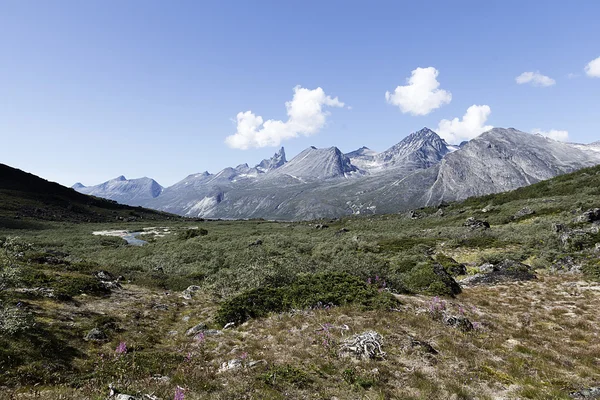 Berg — Stockfoto