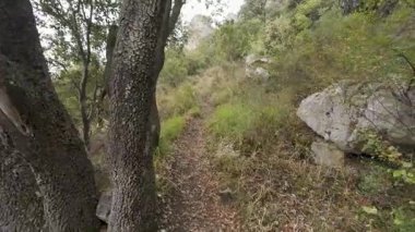 Dar bir dağ yolunda yürüyüş yapmanın bakış açısı