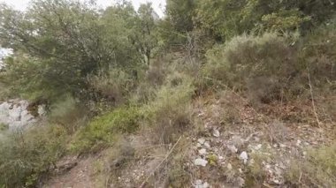 Tehlikeli dağ yollarında yürüyüş bakış açısı