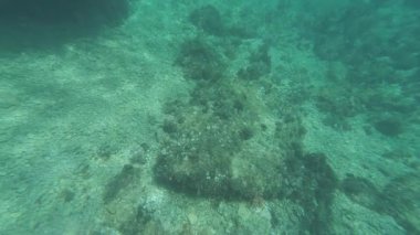 Güneş ışınlarıyla deniz altı manzarası