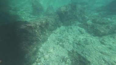 Su altında balıklarla kaplı kayalık deniz tabanını keşfediyorum.