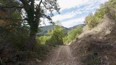 Kırsal bir dağ yolunda yürüyen kişisel perspektif