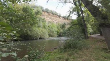 Huzurlu Nehir Yeşillik Ormanında Akıyor