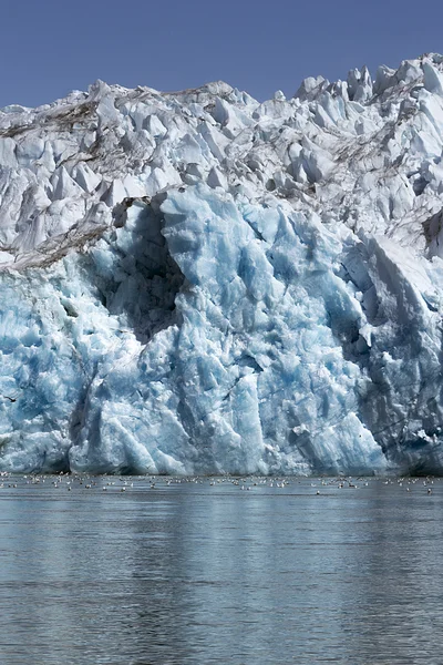 Glaciar — Foto de Stock