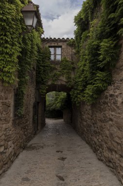 Yeşil sarmaşıklarla kaplı eski taş binaları birbirine bağlayan bir kemerli sokak.