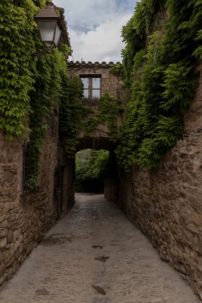 Yeşil sarmaşıklarla kaplı eski taş binaları birbirine bağlayan bir kemerli sokak.