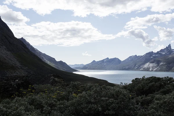 Fjord — Stockfoto