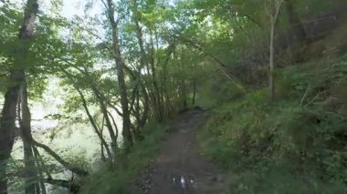 Sonbahar ormanı yolunda yürüyen ilk kişi.