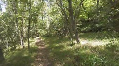 Orman yolunda yürüyen ilk kişi.