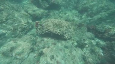 Güneş ışınlarıyla kaplı kayalık deniz tabanının sualtı görüntüsü