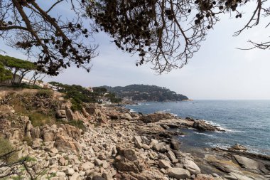 Çam ağaçları, İspanya kıyılarını ve tepelerdeki konut binalarını görüntülüyor.