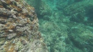 Su altı kayalık deniz yatağı keşif sahnesi