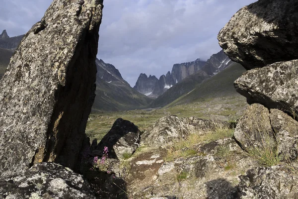 在格陵兰岛山 — 图库照片