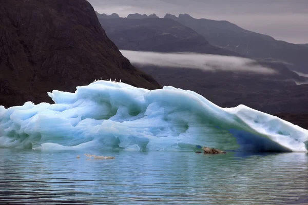 Iceberg in Groenlandia — Foto Stock