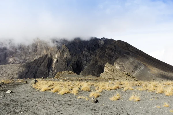 Gunung berapi Meru — Stok Foto