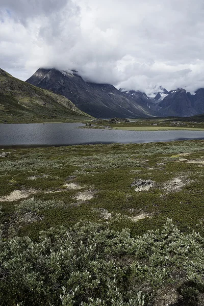 Trekking in south greenland — Stock Photo, Image