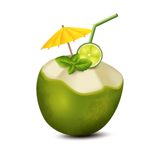 Cocktail i kokos — Stock vektor