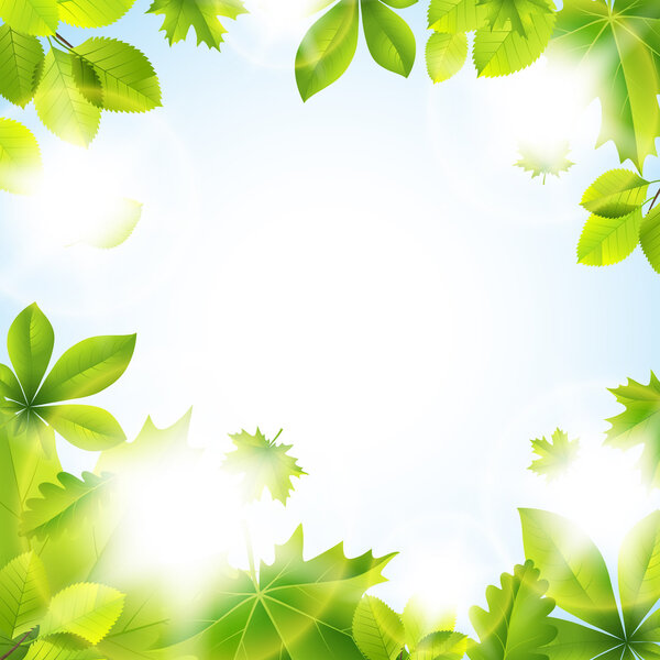 Летний фон с листьями
