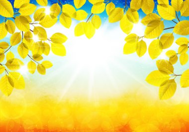 güneşli bir sonbahar manzarası