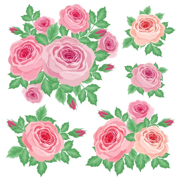 Conjunto de rosas — Vector de stock