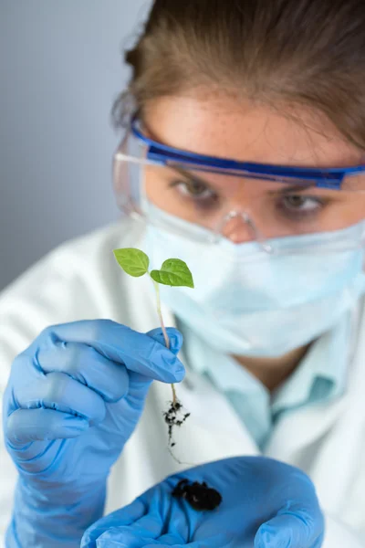 Wissenschaftler und grüne Pflanze — Stockfoto