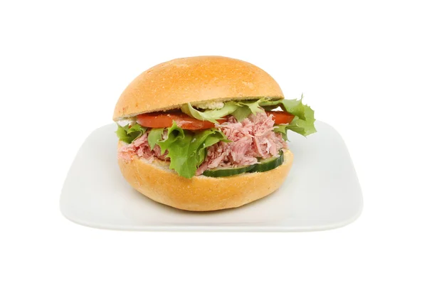 Pulled pork roll — Stock Photo, Image