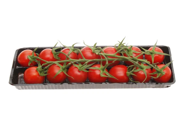 Tomatoes in a carton on white — Stock Photo, Image