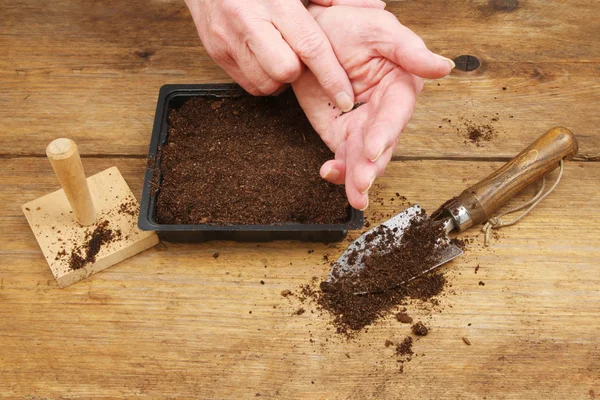 Hands sowing seeds — Stock Photo, Image