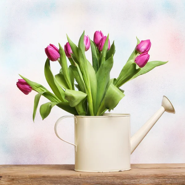 Tulipán zátiší — Stock fotografie