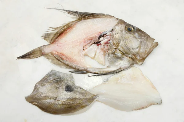 マトウダイの切り身魚 — ストック写真